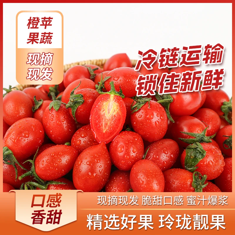 正宗釜山88玲珑小番茄爆珠小西红柿千禧新鲜水果小巧酸甜圣女果