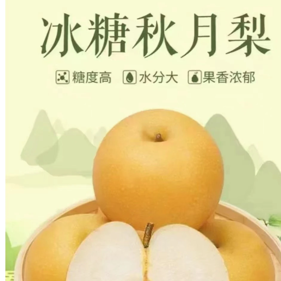 宁陵秋月4.5斤包邮脆甜无渣秋月梨梨子大果