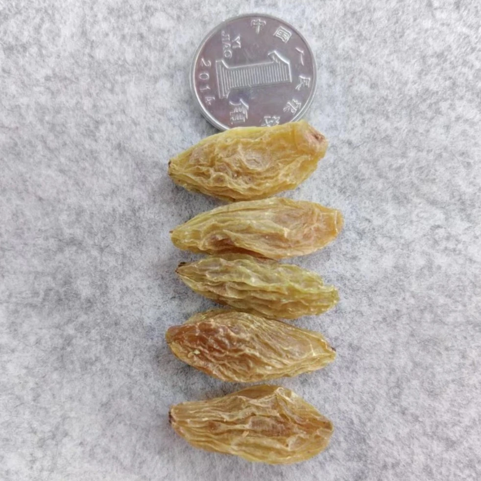 新疆特产大号葡萄干2斤