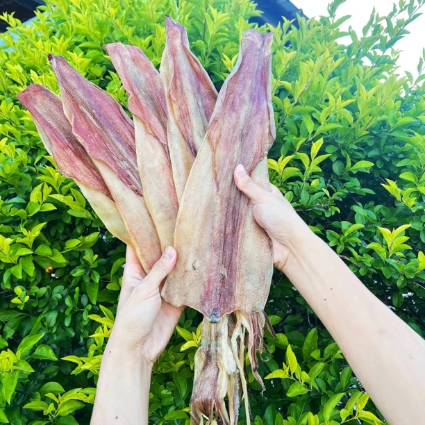 海石兄弟特大鱿鱼干鱿鱼海鲜优质营养烤鱿鱼天然晾晒冷冻保存DL