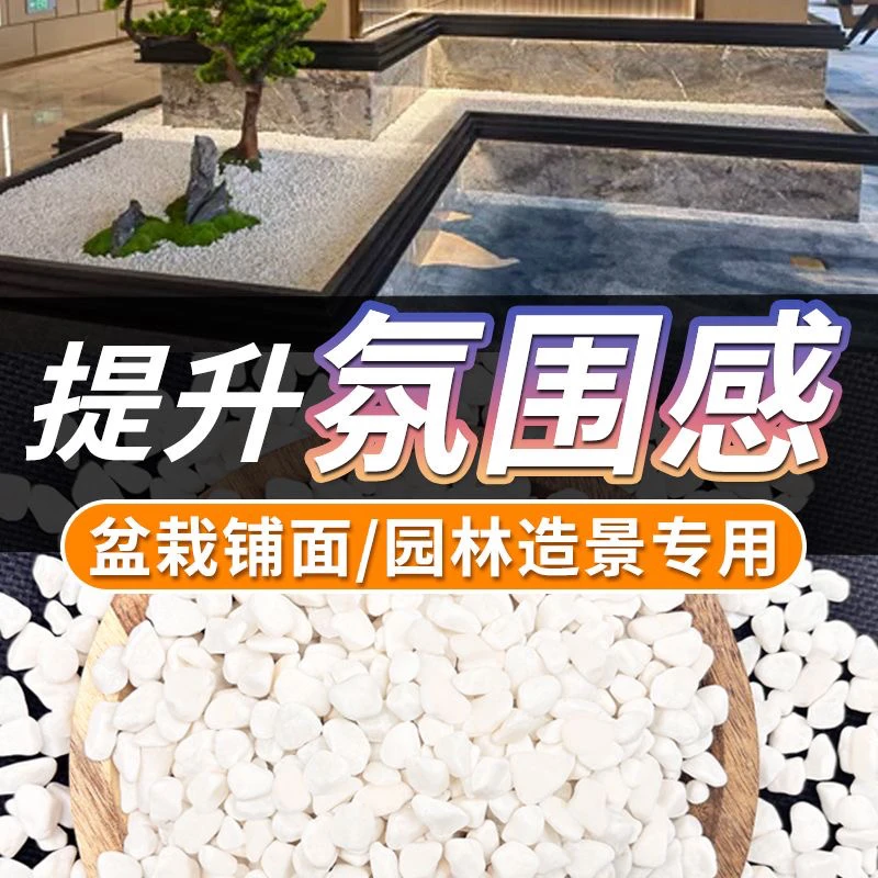 天然白色石子多肉铺面养花专用酒店烟灰缸灭烟石铺面石鱼缸铺底石