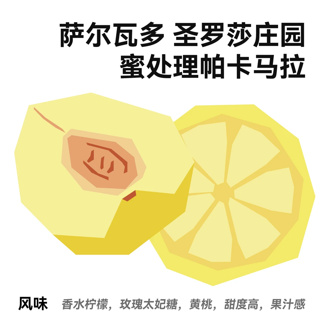 MINDFO咖啡 萨尔瓦多 圣罗莎庄园 蜜处理 帕卡马拉 精选单品豆