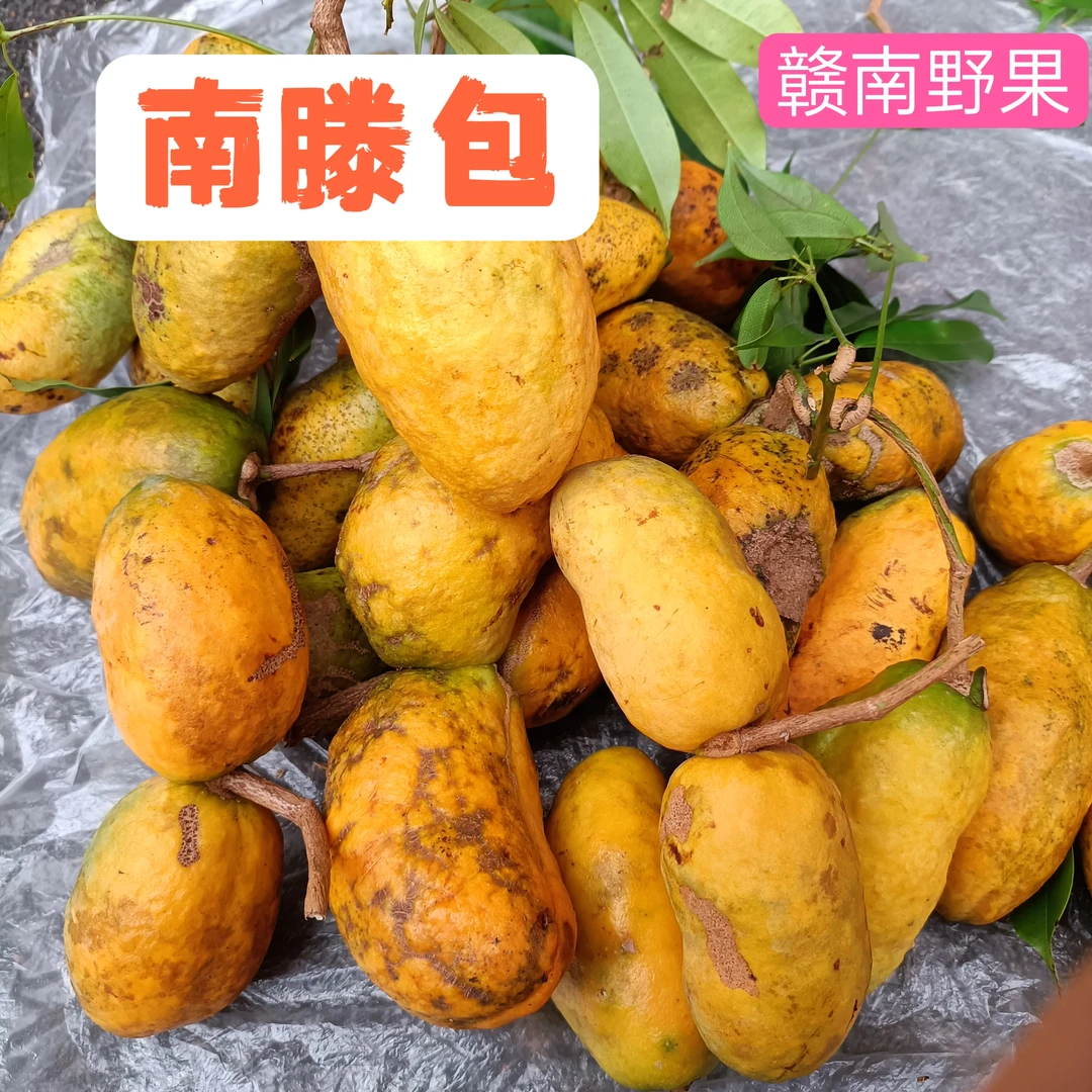 江西赣南新鲜九月黄南藤包牛卵坨九月瓜3斤5斤