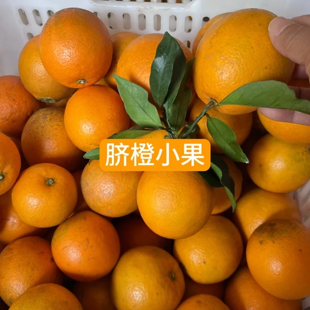 赣南脐橙小果基地直发水嫩多汁酸甜可口新鲜采摘孕妇水果5斤10斤