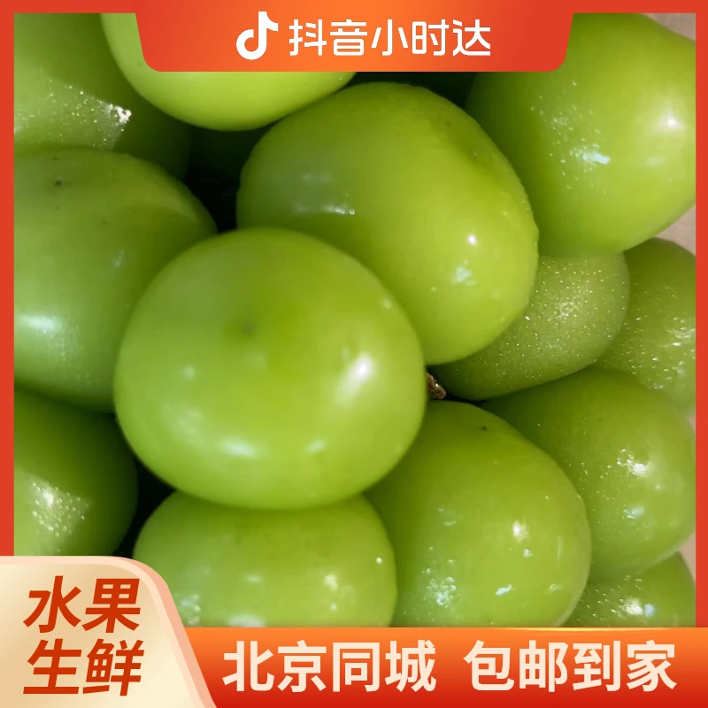 阳光玫瑰精品大果一串保2.2斤