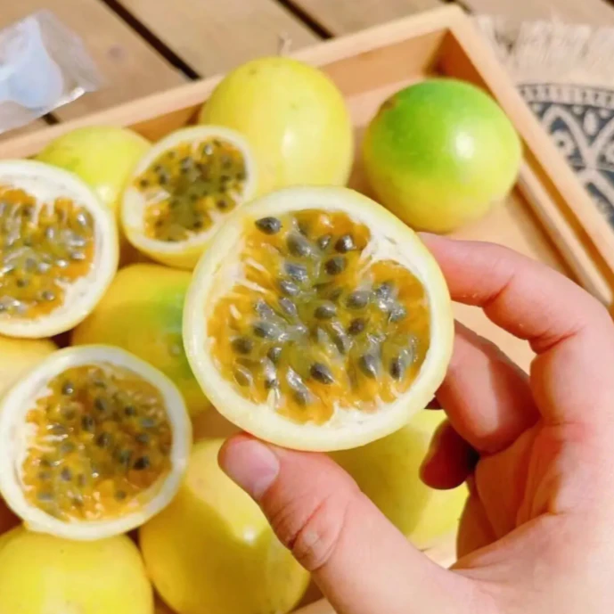 【坏果包赔】海南钦蜜9号黄金百香果3斤即食百香果
