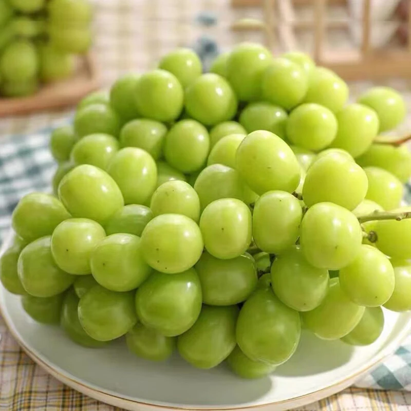 （只发辽宁省内）云南阳光玫瑰晴王葡萄2斤装