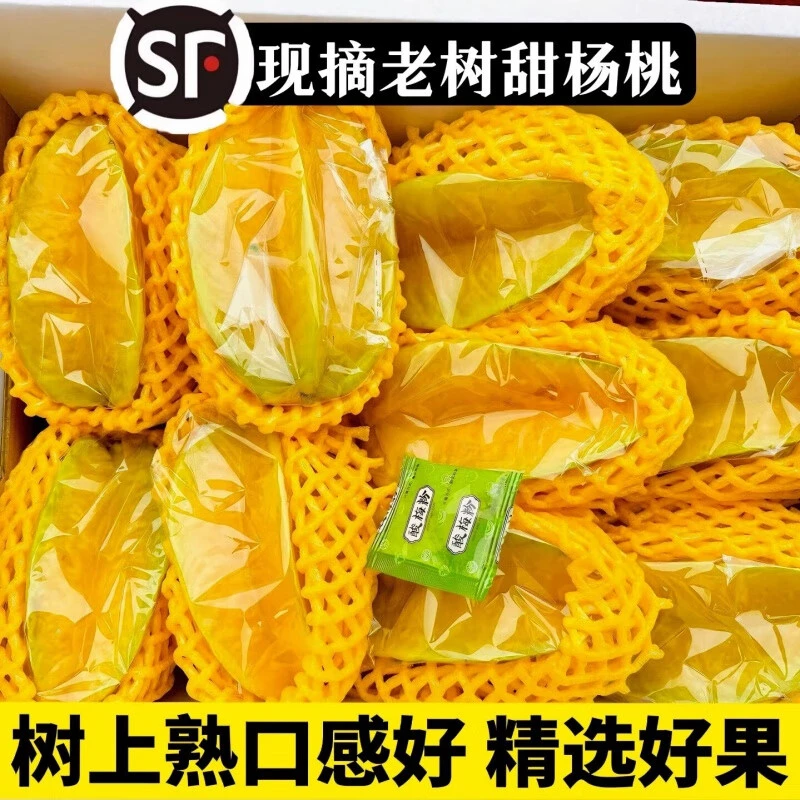 【顺丰包邮】5斤福建漳州杨桃新鲜采摘现发甜杨桃新鲜水果五角星