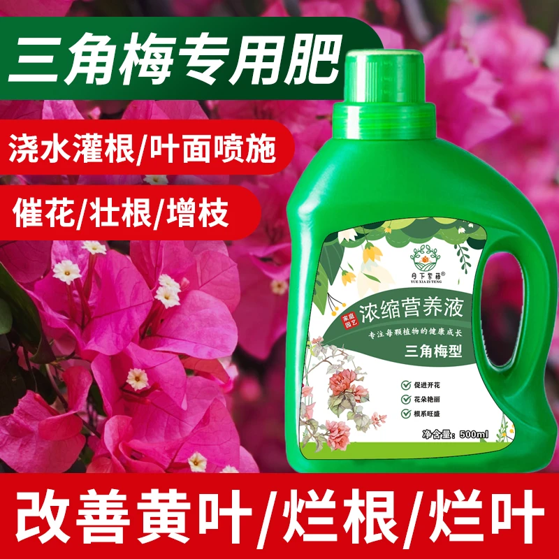 三角梅肥料专用肥植物营养液梅花盆栽家用花卉养花促开花腊梅通用