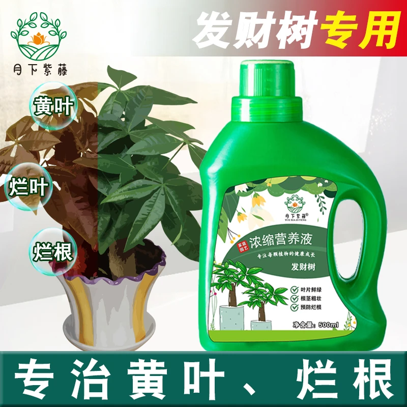 发财树营养液肥料专用肥室内盆栽植物活力素专治叶子发黄掉叶烂根