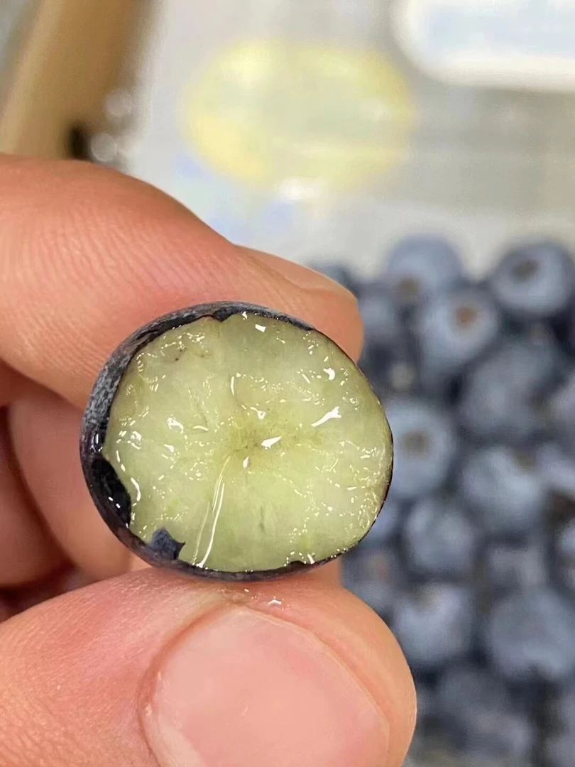 蓝莓1盒蓝莓同城送