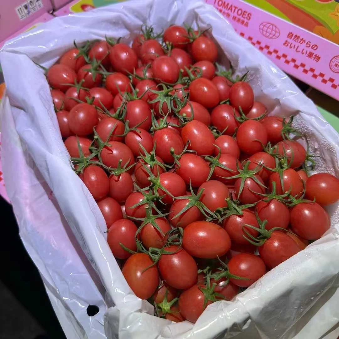 千禧圣女果约2.5斤装