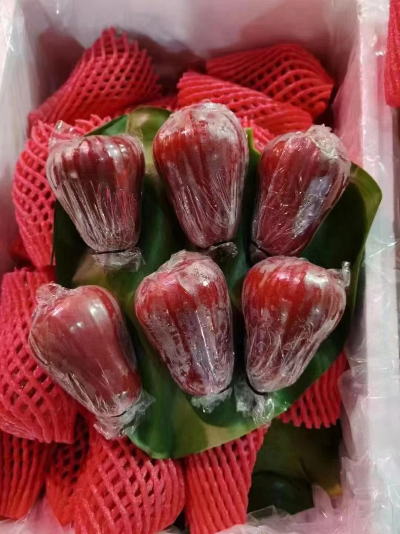 越南黑金刚莲雾约500g