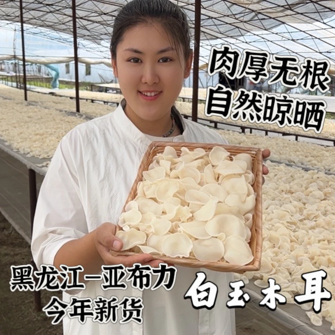 东北【白玉木耳大片】圆边无根肉厚泡发率高24年新货无增重无干燥剂