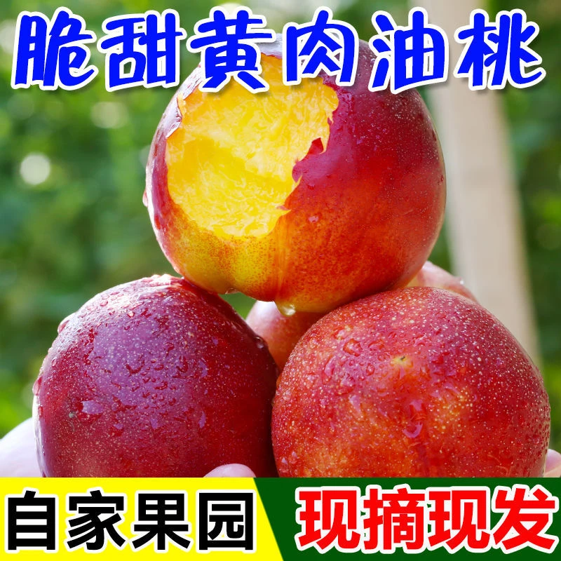 【现摘】黄心油桃5斤应季桃子新鲜当季水果脆桃