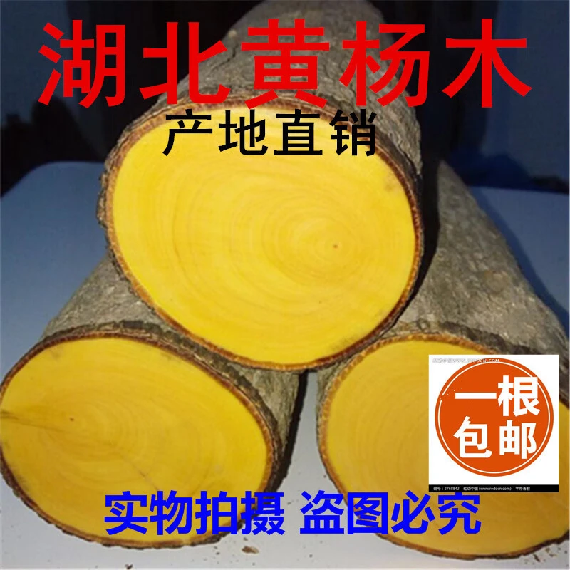 正宗湖北黄杨木料木雕刻练手料原木段小笔筒料印章文玩摆件木质