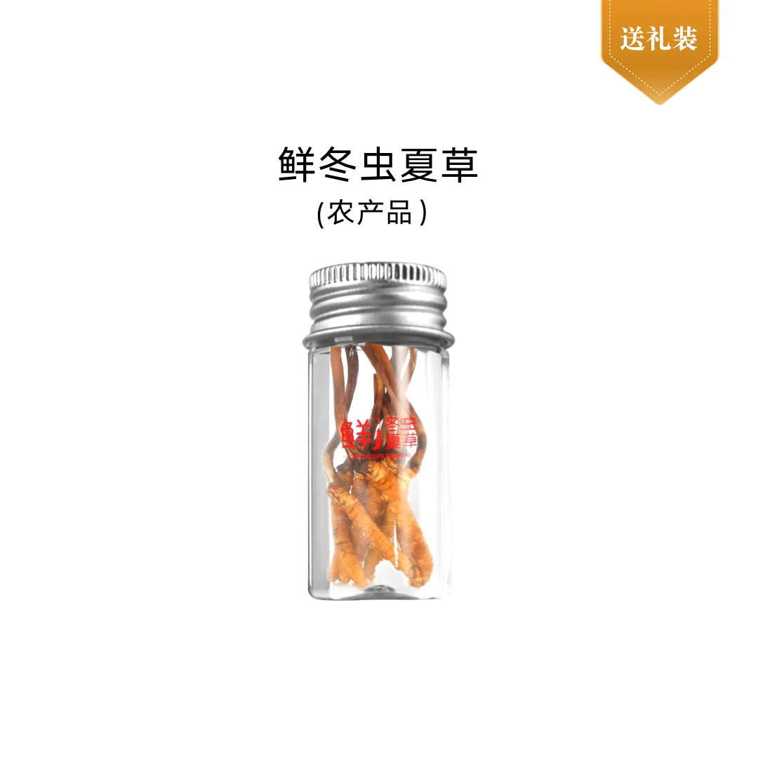 总统牌 鲜冬虫夏草3A级-81支装 （0.81-1.0g/支）送礼装