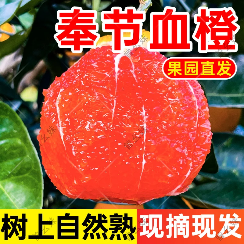 重庆奉节血橙9斤中华红橙子新鲜水果当季整箱大果红心甜脐雪橙5