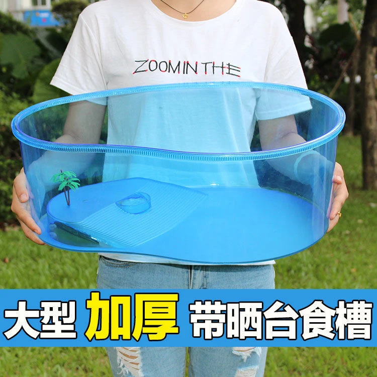 六角龙专用超大恐龙鱼蝾螈宠物两栖饲养箱小乌龟缸角蛙饲养盒带盖