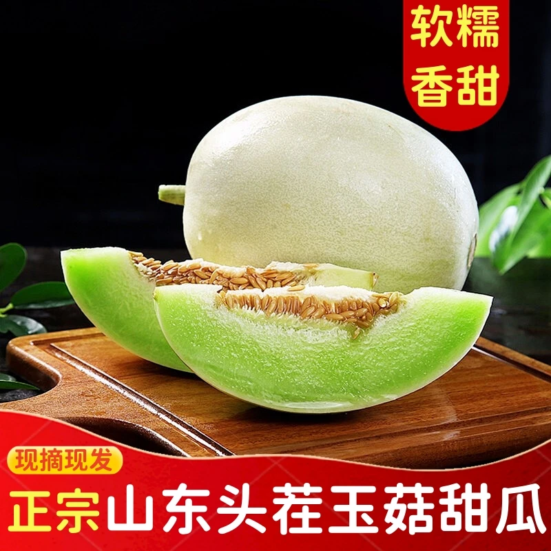 正宗山东冰淇淋玉菇甜瓜自然头茬软糯香甜甜蜜新鲜水果清凉包赔