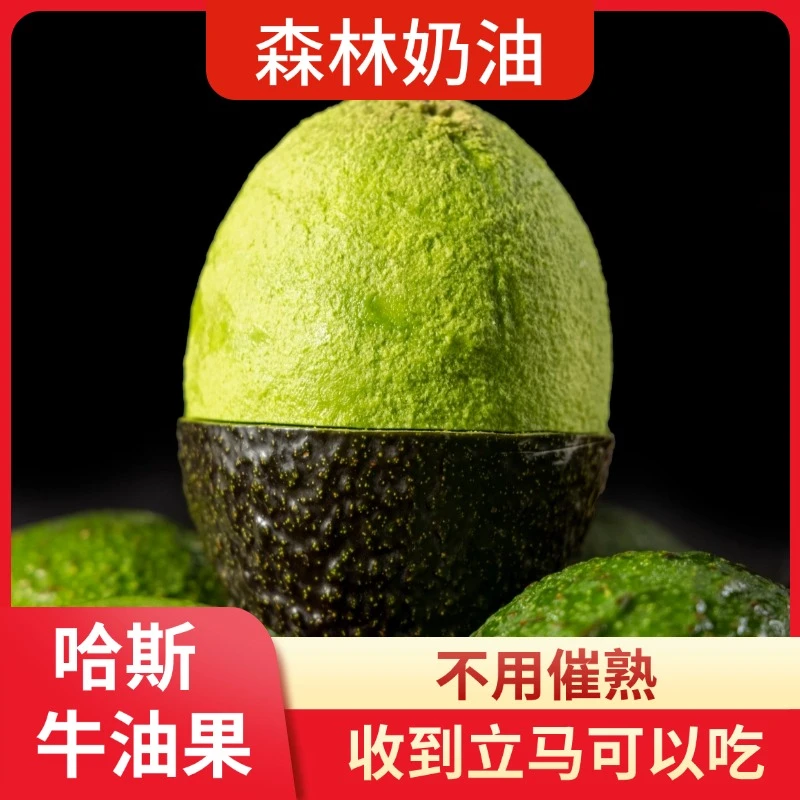 【顺丰包邮】智利树熟牛油果收到即食6粒装顺丰包邮早餐