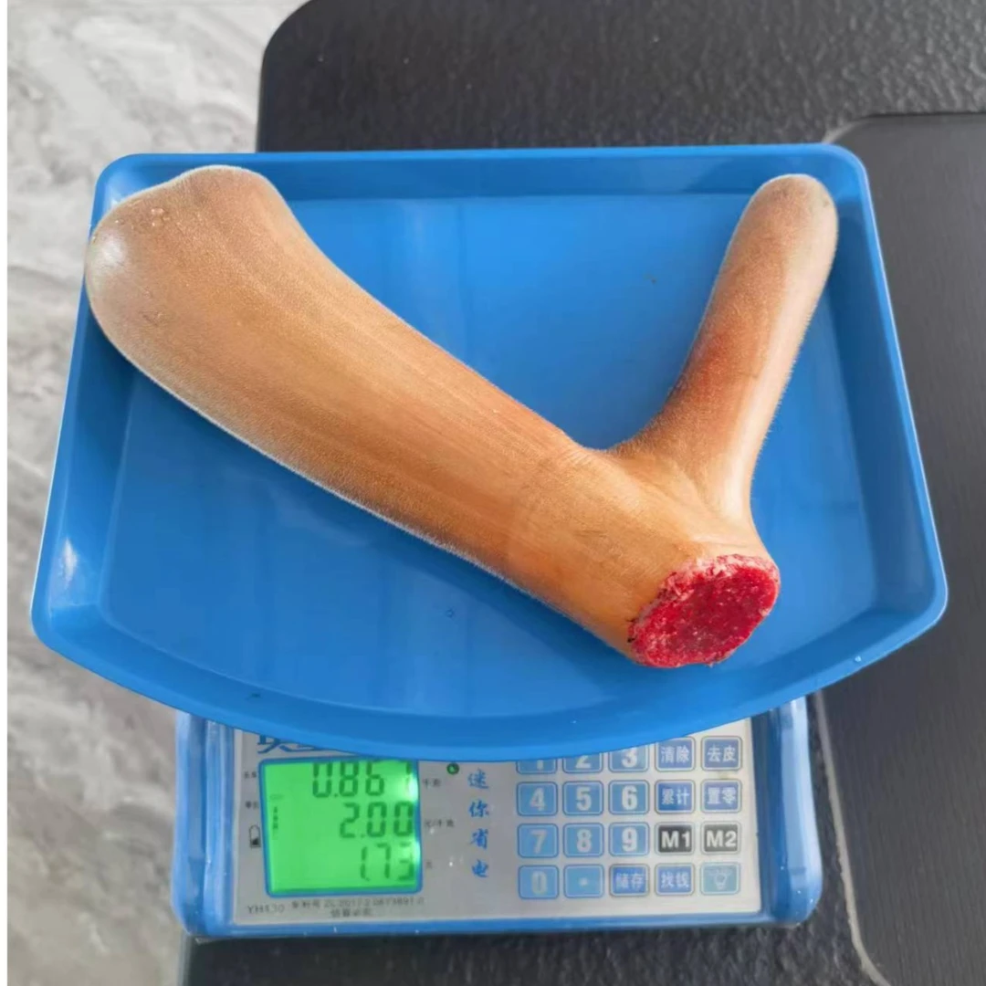 伊鹿长鸿鹿茸 现场挑选  直播间专属链接