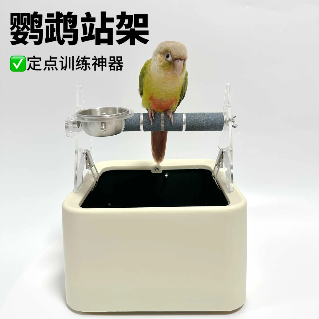 拉便便鹦鹉垃圾桶站架鹦鹉站架鹦鹉站架垃圾桶鹦鹉定点训练定制