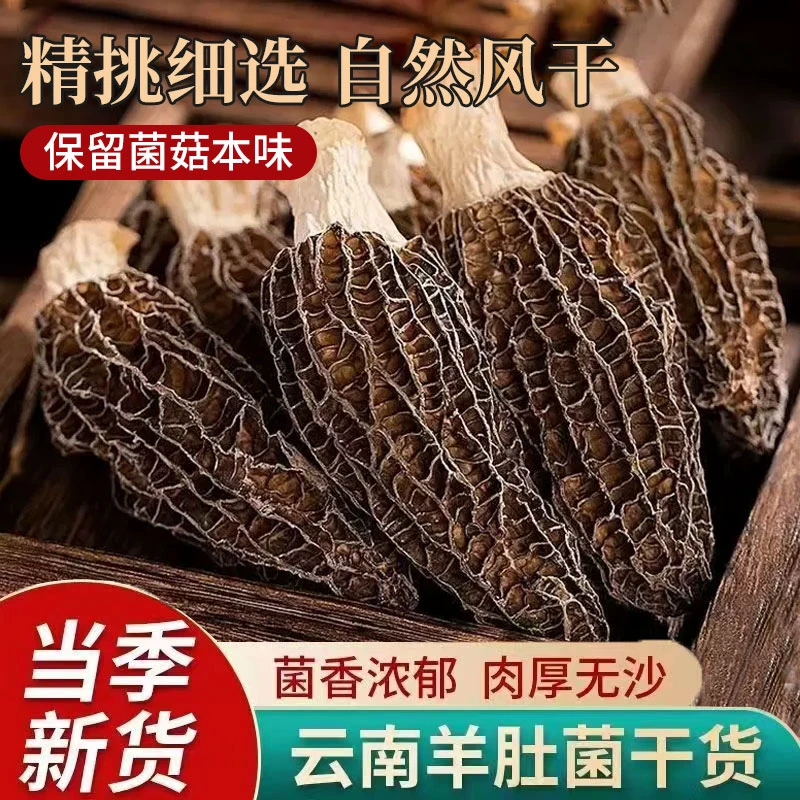 当季新货羊肚菌干货云南特产羊肚菌鲜美煲汤品质美味