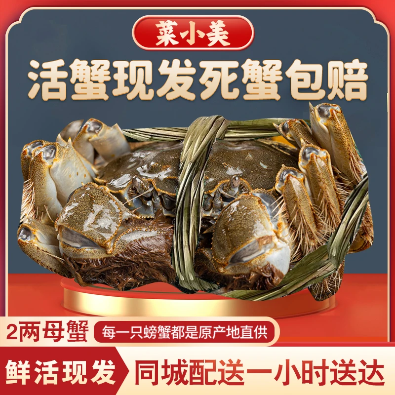 【2两母蟹】数量自加 鲜活现货 活蟹现发