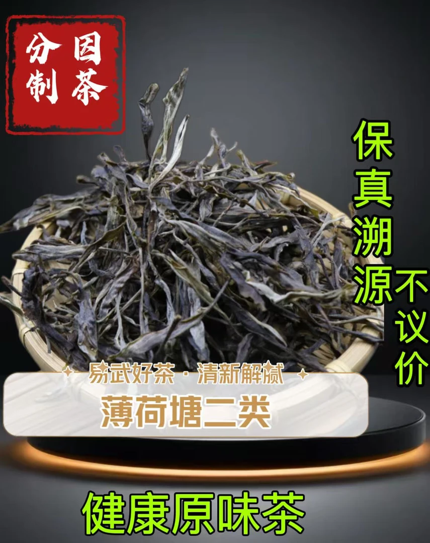 2024年薄荷糖丨二类古树丨20克/罐 易武产区品质好茶。
