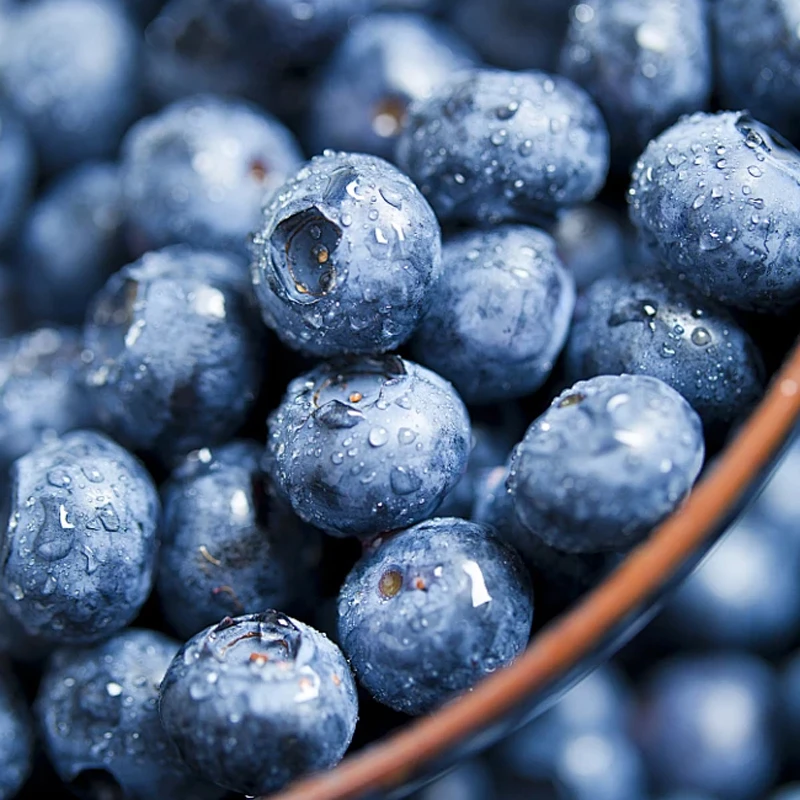 云南花香蓝莓100g/盒 新鲜大果 单果15-24mm± 新鲜水果 多汁爽口