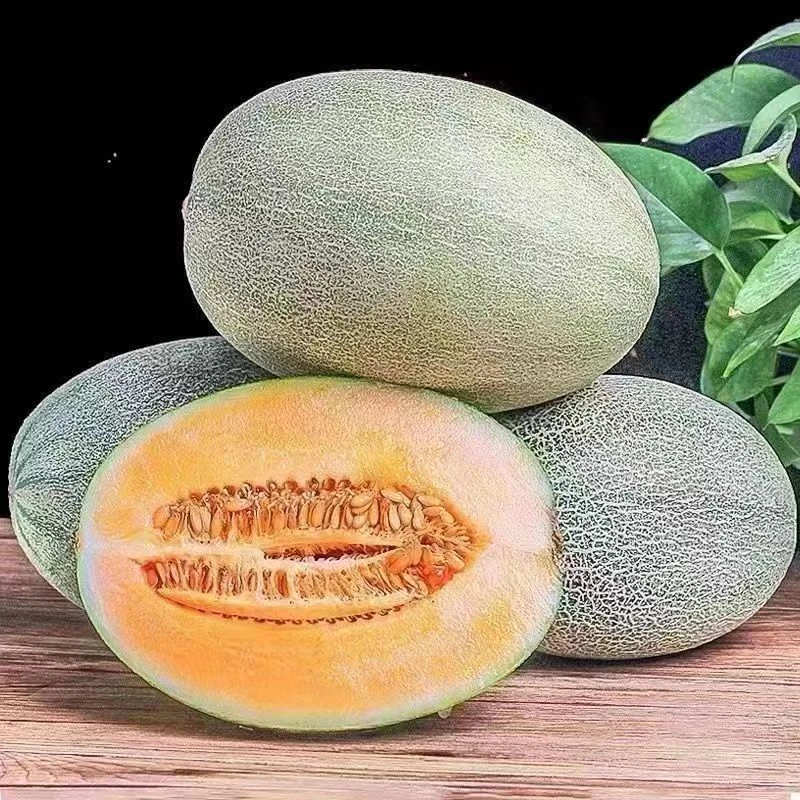 新鲜哈密瓜1个