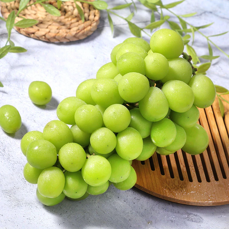 新鲜现摘阳光玫瑰  3斤左右