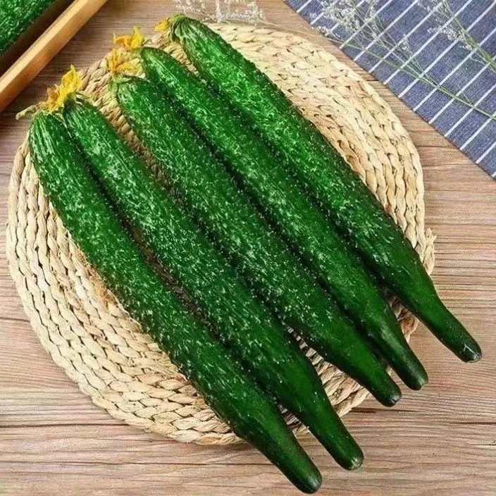 山东农家新鲜黄瓜2斤左右