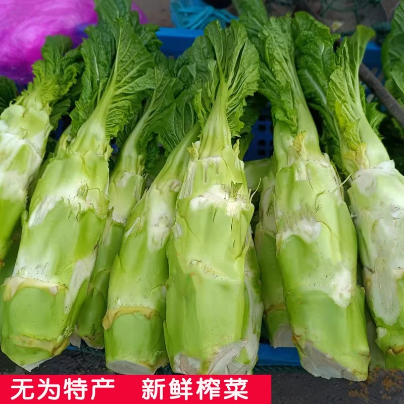 无为特产 新鲜蔬菜 菜心 时令蔬菜 一份3斤 5斤起顺丰包邮