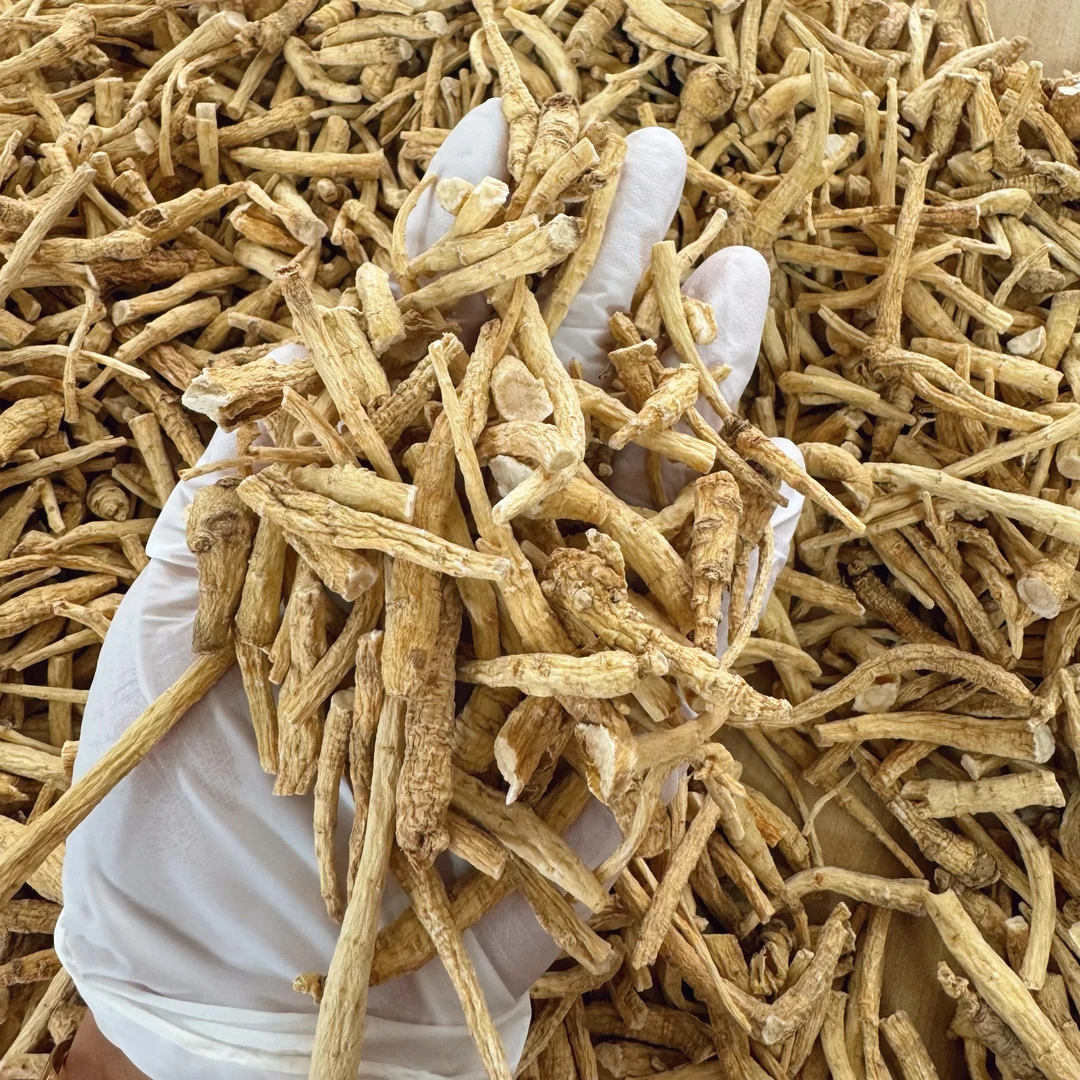 新货特惠正宗西洋参花旗参参腿可泡水煲汤可代打粉