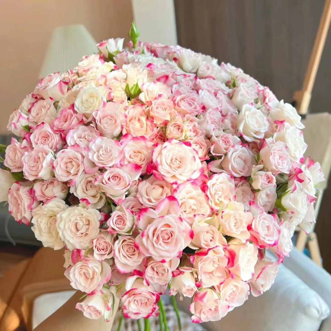 【折射】10支多头玫瑰 全场任意满两单鲜花包邮（坤）