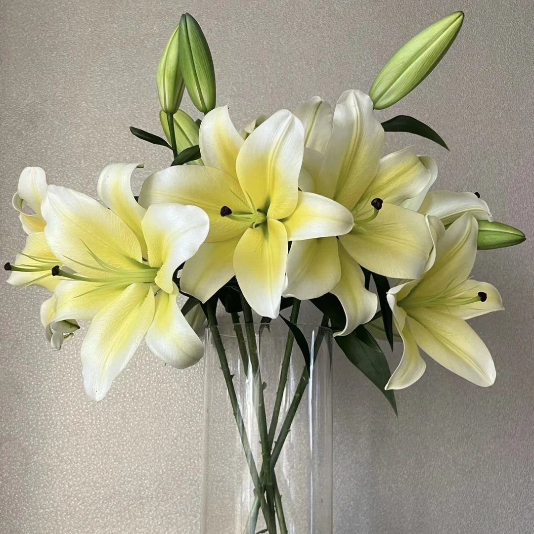 (花时光)【黄百合】黄色香水黄百合 | 全场任意满两单鲜花包邮