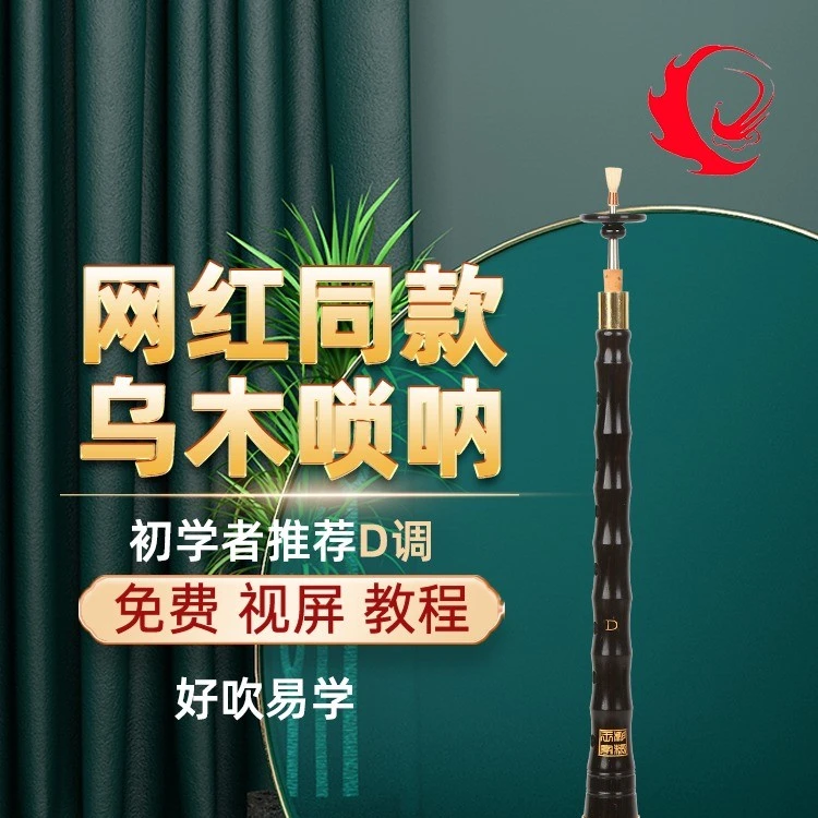 网红乌木唢呐乐器练手全套初学专用民族喇叭d调专业唢呐考级演奏