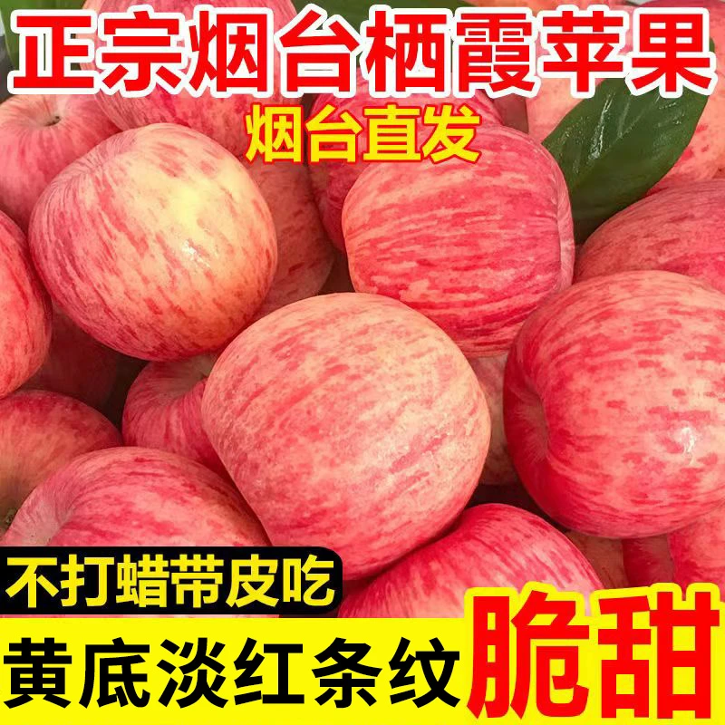 【黄底条纹苹果】山东红富士80mm起净重4.5斤栖霞苹果脆甜多汁