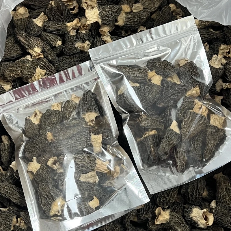 【福利】精选靓头茬羊肚菌 无熏硫 肉厚无沙 特价新货 菌味醇厚