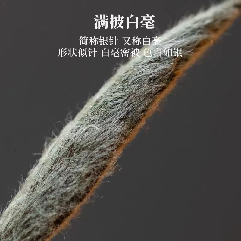 【高货福利价】福鼎白茶2024年炭焙头采白毫银针·炭焙白毫银针