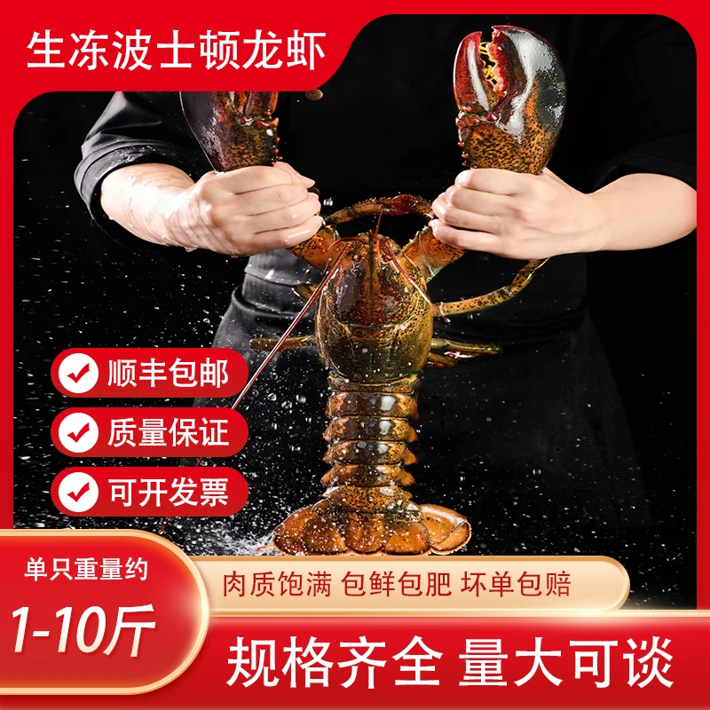 生冻波士顿龙虾生冻波斯顿大虾食用水产速冻海鲜超大澳龙龙虾