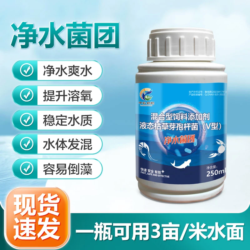 净水菌团 250ml/瓶 无需红糖 处理水混倒藻油膜泡沫有机质多爽水