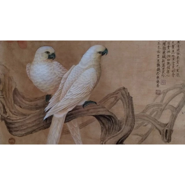 《白鹦鹉》全套共8讲 陈松岩原创工笔