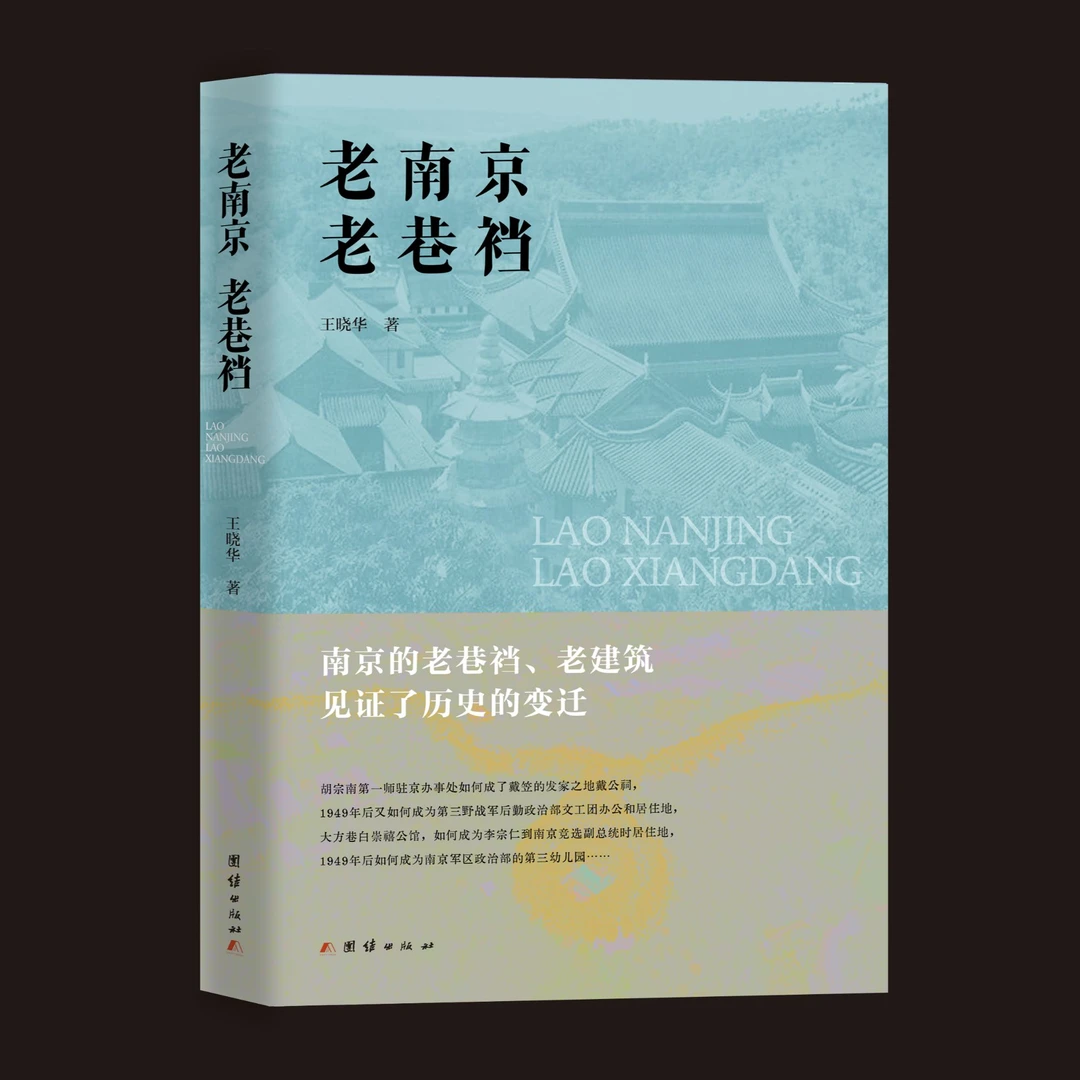 老南京老巷裆（王晓华  著）