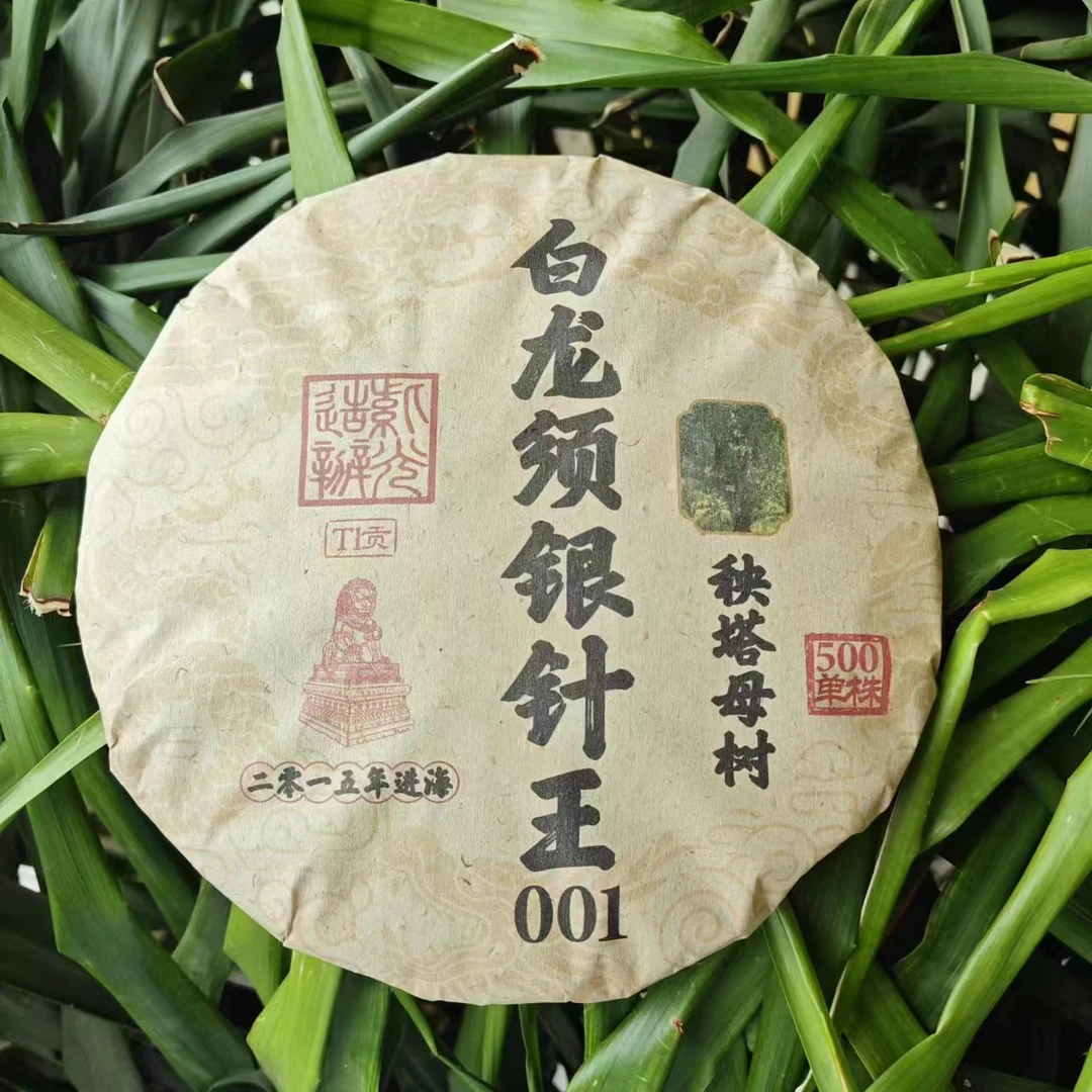 雨腾小号-白龙须银针王001秧塔母树500单株300g/饼