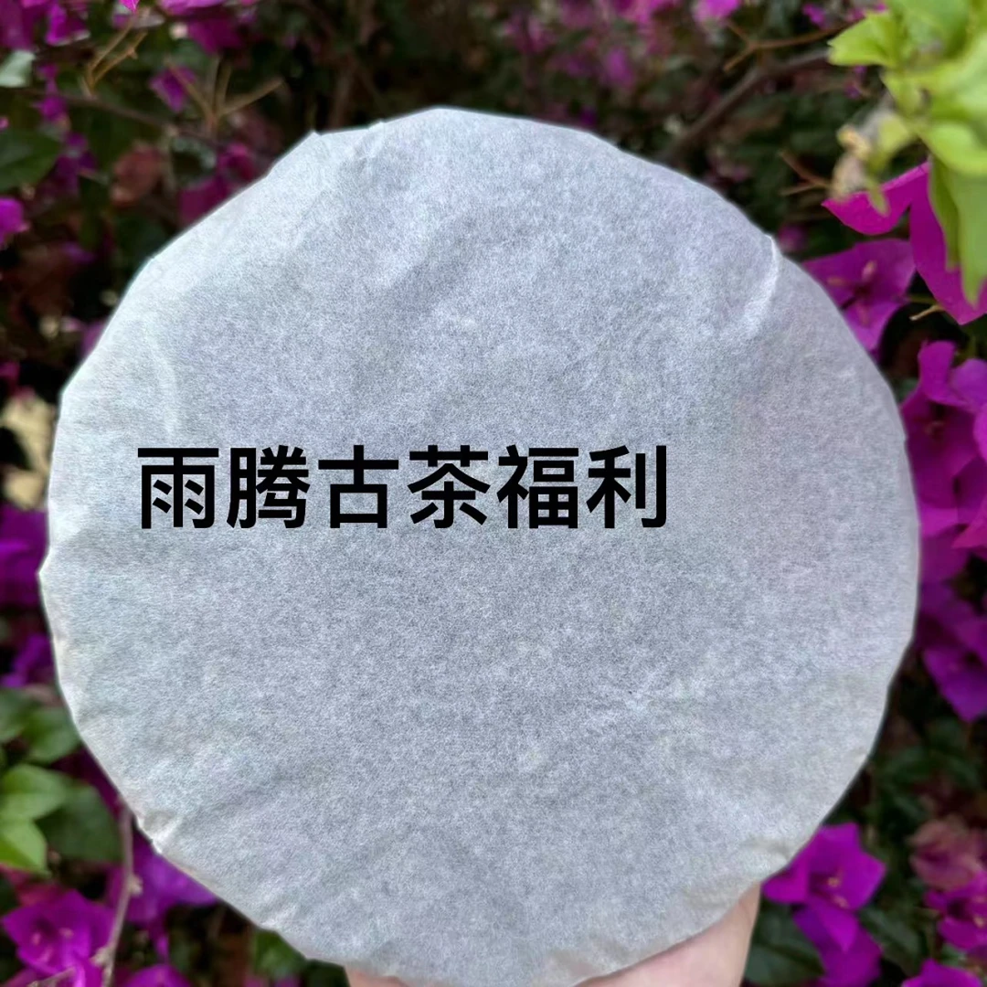 雨腾小号-十三级丙岛茶祖1800特大古树单株龙珠240g/盒 生茶