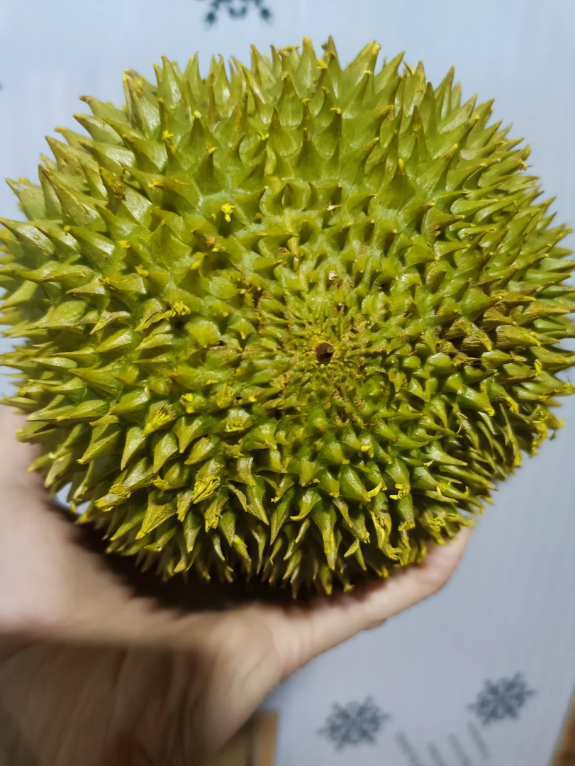 鲜果奶油《猫山王》