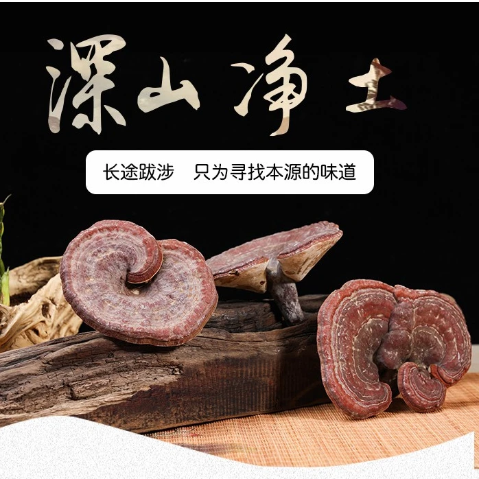 灵枝  山灵枝家灵枝 250克500克 长白山灵枝片特产人参保鲜参食用